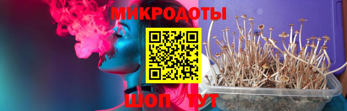 Галлюциногенные грибы Cubensis Лесосибирск